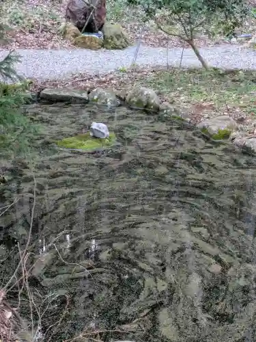 函館八幡宮の動物