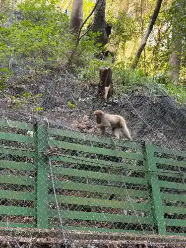 瀧安寺の{uncategorized: "未分類", other: "その他", undefined: "問題あり", building: "その他建物", grave: "お墓", sacred_gate: "鳥居", guardian: "狛犬", statue: "像", buddha: "仏像", history: "歴史", nature: "自然", garden: "庭園", animal: "動物", pagoda: "塔", temizu: "手水舎", mountain_gate: "山門・神門", sanctuary: "本殿・本堂", subordinate: "末社・摂社", art: "芸術", scenery: "景色", jizo: "地蔵", ema: "絵馬", goshuin: "御朱印", omikuji: "おみくじ", items: "授与品その他", amulet: "お守り", goshuincho: "御朱印帳", eats: "食事", festival: "お祭り", votive_dance: "神楽", shichigosan: "七五三参", wedding: "結婚式", experience: "体験その他", initially: "初詣", around: "周辺", anti_infection: "感染症対策"}