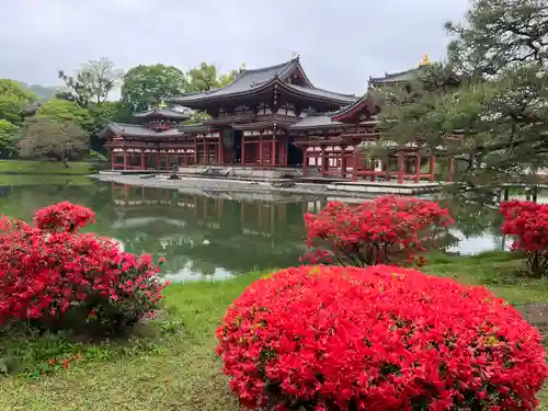 平等院(京都府)