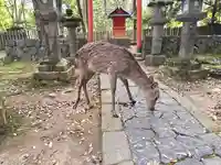 壺神神社 (春日大社末社)(奈良県)
