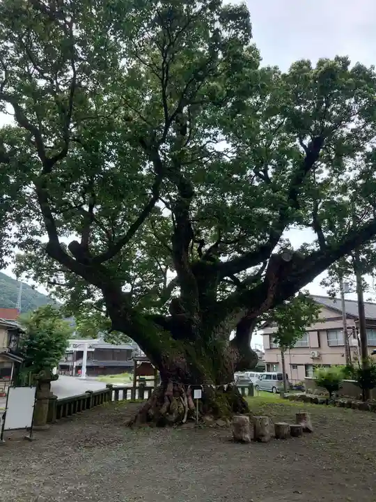 土肥神社(静岡県)