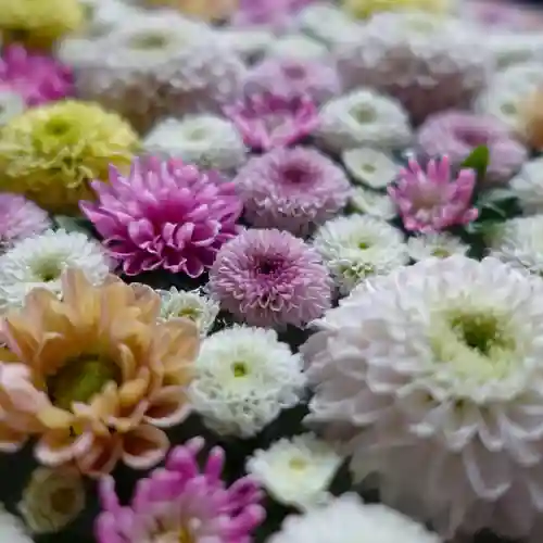 帯廣神社の手水舎