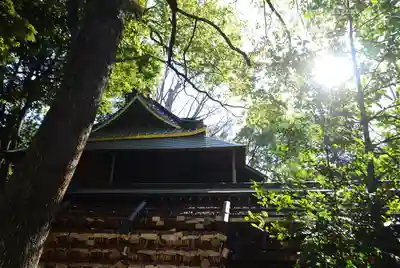 川越氷川神社(埼玉県)