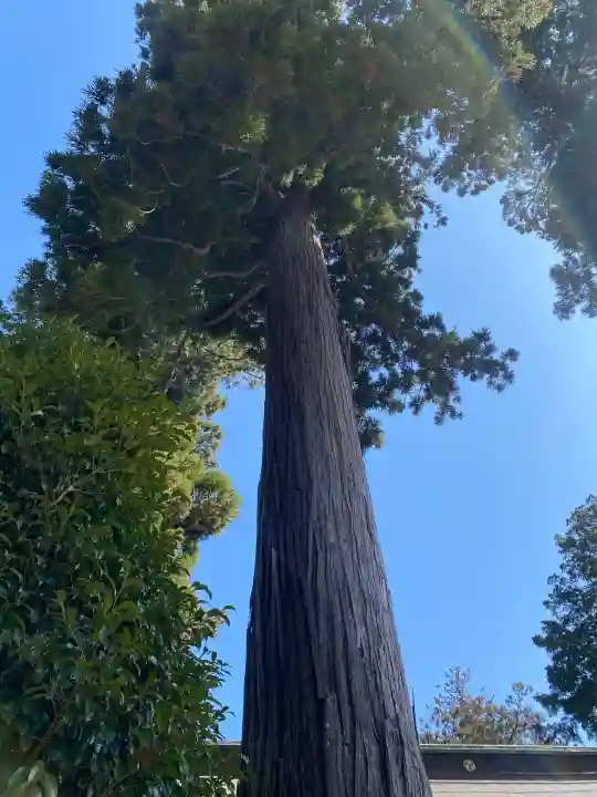 山倉大神の{uncategorized: "未分類", other: "その他", undefined: "問題あり", building: "その他建物", grave: "お墓", sacred_gate: "鳥居", guardian: "狛犬", statue: "像", buddha: "仏像", history: "歴史", nature: "自然", garden: "庭園", animal: "動物", pagoda: "塔", temizu: "手水舎", mountain_gate: "山門・神門", sanctuary: "本殿・本堂", subordinate: "末社・摂社", art: "芸術", scenery: "景色", jizo: "地蔵", ema: "絵馬", goshuin: "御朱印", omikuji: "おみくじ", items: "授与品その他", amulet: "お守り", goshuincho: "御朱印帳", eats: "食事", festival: "お祭り", votive_dance: "神楽", shichigosan: "七五三参", wedding: "結婚式", experience: "体験その他", initially: "初詣", around: "周辺", anti_infection: "感染症対策"}