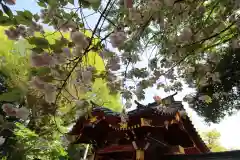 秩父神社の自然