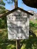 正定聚院等覚寺(茨城県)