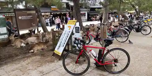 東大寺(奈良県)