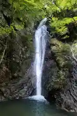 秋葉神社(岐阜県)