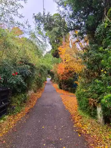 日照院(福岡県)
