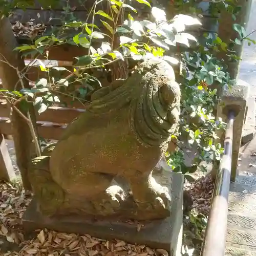 篠崎浅間神社の狛犬