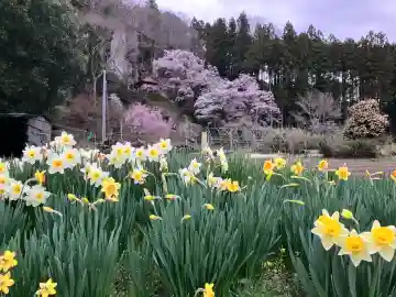 堂の下の岩観音の{uncategorized: "未分類", other: "その他", undefined: "問題あり", building: "その他建物", grave: "お墓", sacred_gate: "鳥居", guardian: "狛犬", statue: "像", buddha: "仏像", history: "歴史", nature: "自然", garden: "庭園", animal: "動物", pagoda: "塔", temizu: "手水舎", mountain_gate: "山門・神門", sanctuary: "本殿・本堂", subordinate: "末社・摂社", art: "芸術", scenery: "景色", jizo: "地蔵", ema: "絵馬", goshuin: "御朱印", omikuji: "おみくじ", items: "授与品その他", amulet: "お守り", goshuincho: "御朱印帳", eats: "食事", festival: "お祭り", votive_dance: "神楽", shichigosan: "七五三参", wedding: "結婚式", experience: "体験その他", initially: "初詣", around: "周辺", anti_infection: "感染症対策"}