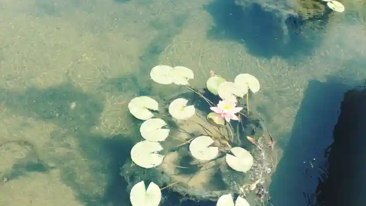 龍華寺(静岡県)