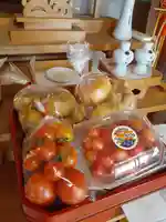 伏木香取神社(茨城県)