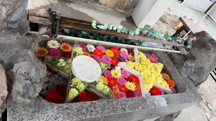 星置神社の{uncategorized: "未分類", other: "その他", undefined: "問題あり", building: "その他建物", grave: "お墓", sacred_gate: "鳥居", guardian: "狛犬", statue: "像", buddha: "仏像", history: "歴史", nature: "自然", garden: "庭園", animal: "動物", pagoda: "塔", temizu: "手水舎", mountain_gate: "山門・神門", sanctuary: "本殿・本堂", subordinate: "末社・摂社", art: "芸術", scenery: "景色", jizo: "地蔵", ema: "絵馬", goshuin: "御朱印", omikuji: "おみくじ", items: "授与品その他", amulet: "お守り", goshuincho: "御朱印帳", eats: "食事", festival: "お祭り", votive_dance: "神楽", shichigosan: "七五三参", wedding: "結婚式", experience: "体験その他", initially: "初詣", around: "周辺", anti_infection: "感染症対策"}