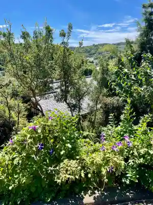 白雲庵(神奈川県)