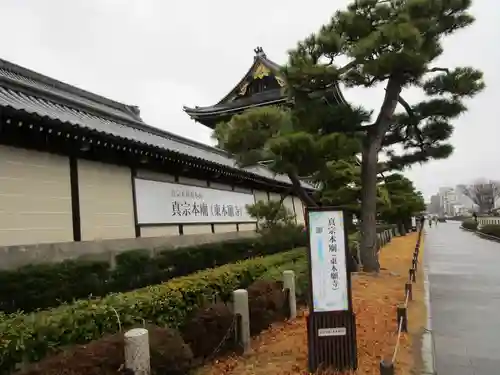 東本願寺（真宗本廟）の自然