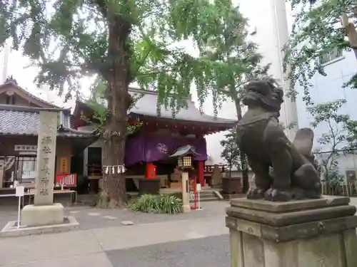 日本橋日枝神社の狛犬
