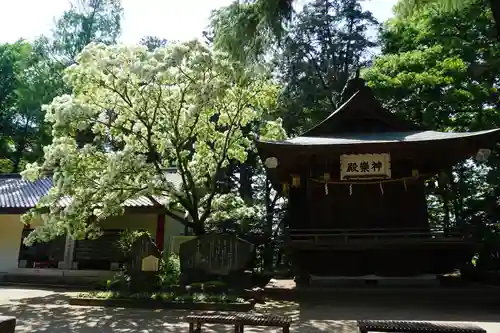 大宝八幡宮の自然