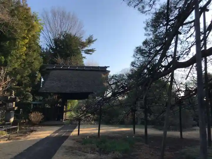 海岸寺の庭園