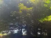 宿那彦神像石神社(石川県)