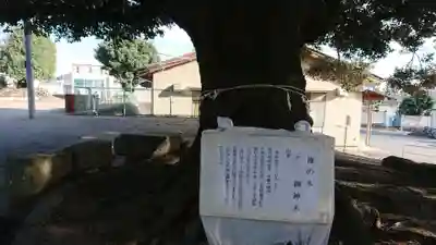 神明宮のその他建物