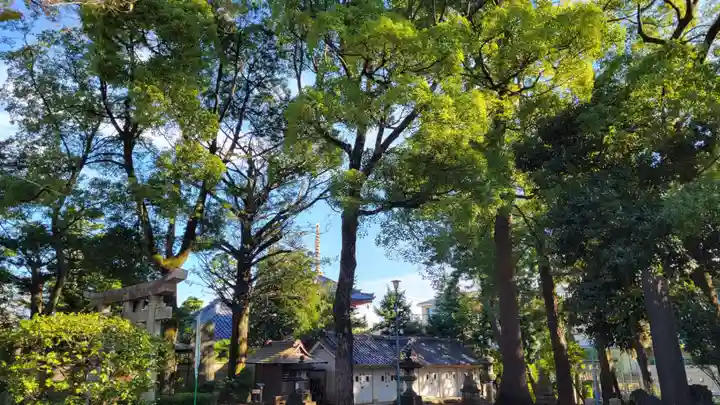 豊玉氷川神社のその他建物