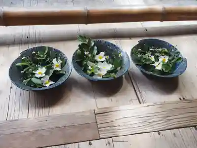 二尊院(京都府)