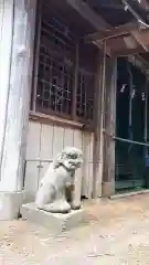 國ケ森神社の狛犬