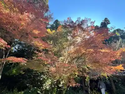 国宝 長寿寺(滋賀県)