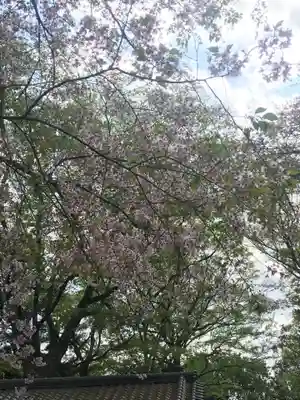 延寿院(千葉県)