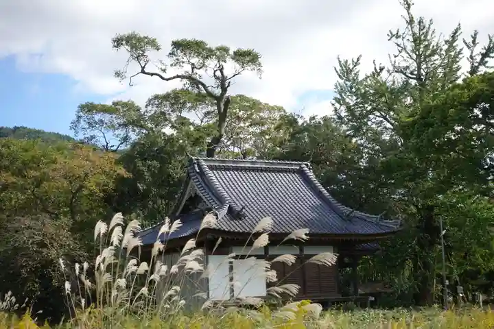 國分寺(国分寺)の本殿・本堂