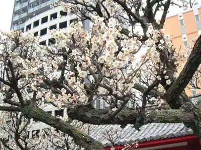 菅原神社(福岡県)