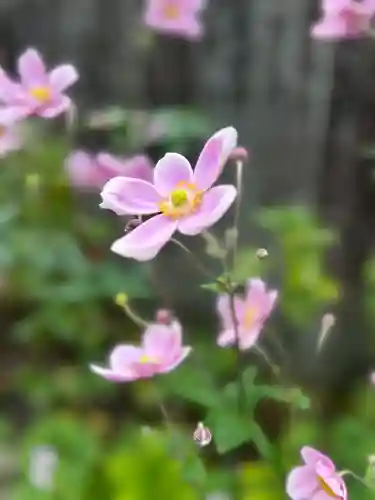 横峰寺(愛媛県)