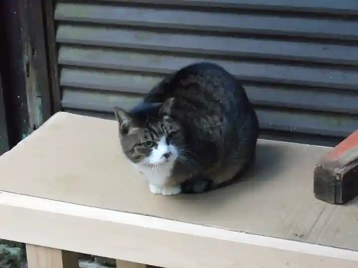 薬力社(京都府)