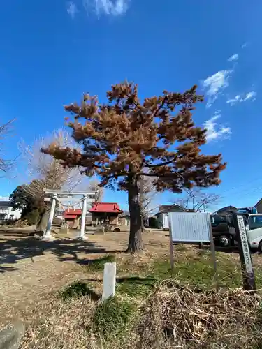 久伊豆神社の鳥居