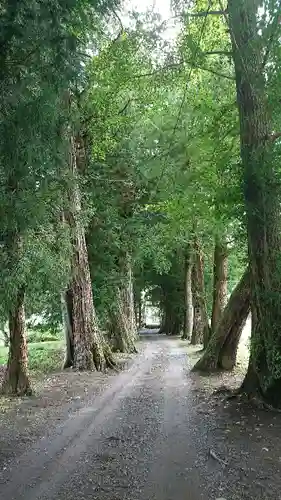 戸隠神社の周辺