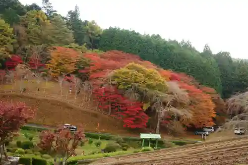 零羊崎神社の自然