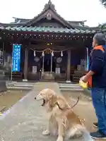 鶴峯八幡宮の動物