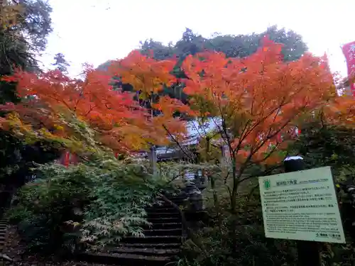 連祥院（六角堂）の本殿