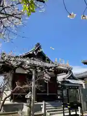 興禅寺(愛知県)