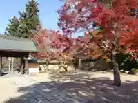 天徳院(和歌山県)