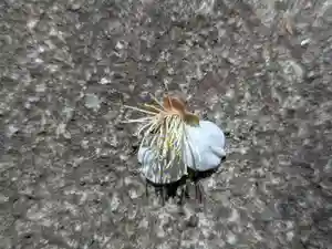 玉眞院玉川大師(東京都)(2025年02月26日(水) 14時57分39秒投稿)