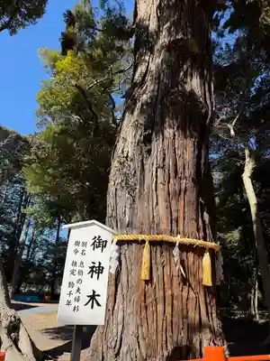 息栖神社(茨城県)