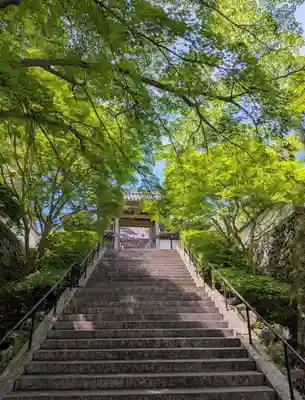 興国寺(和歌山県)