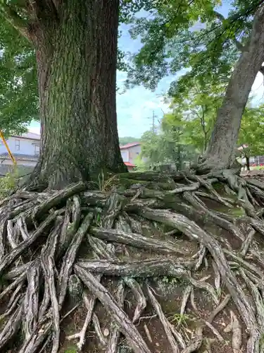 泉渓寺(栃木県)