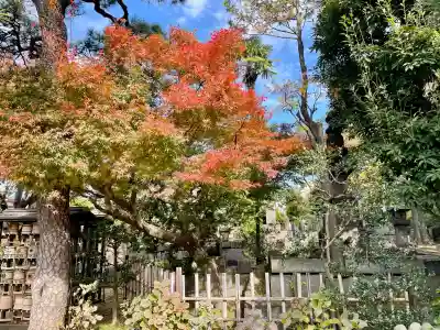 実相寺(東京都)