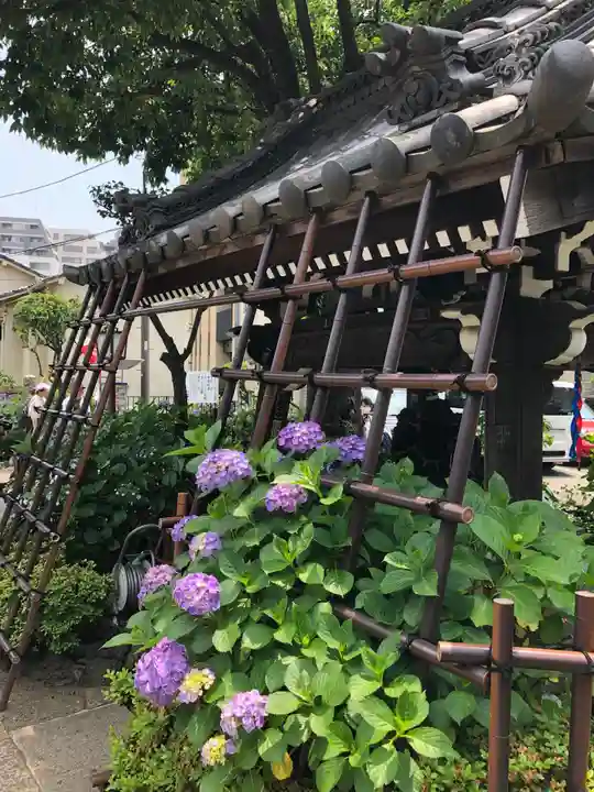 白山神社の手水舎