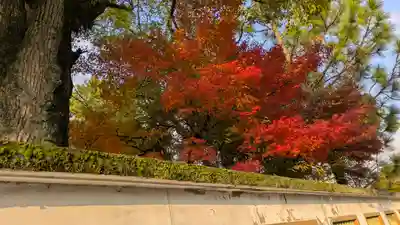 離宮八幡宮(京都府)