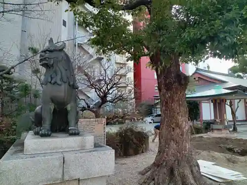 御霊神社の狛犬