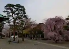 護国寺の建物その他